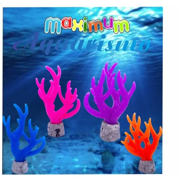 Coral Para Aquário